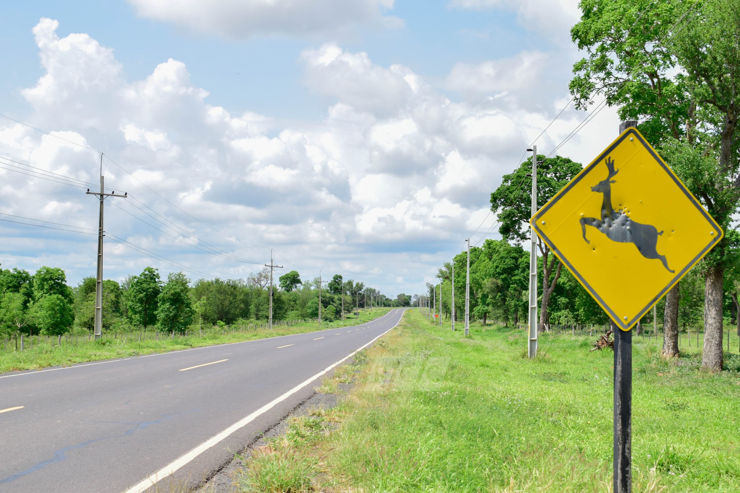 Pronostican una jornada calurosa
