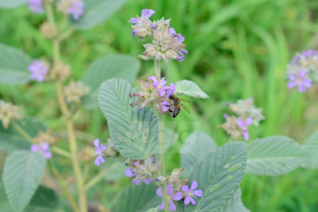 Lunes con calor, cielo parcialmente nublado y vientos del sur