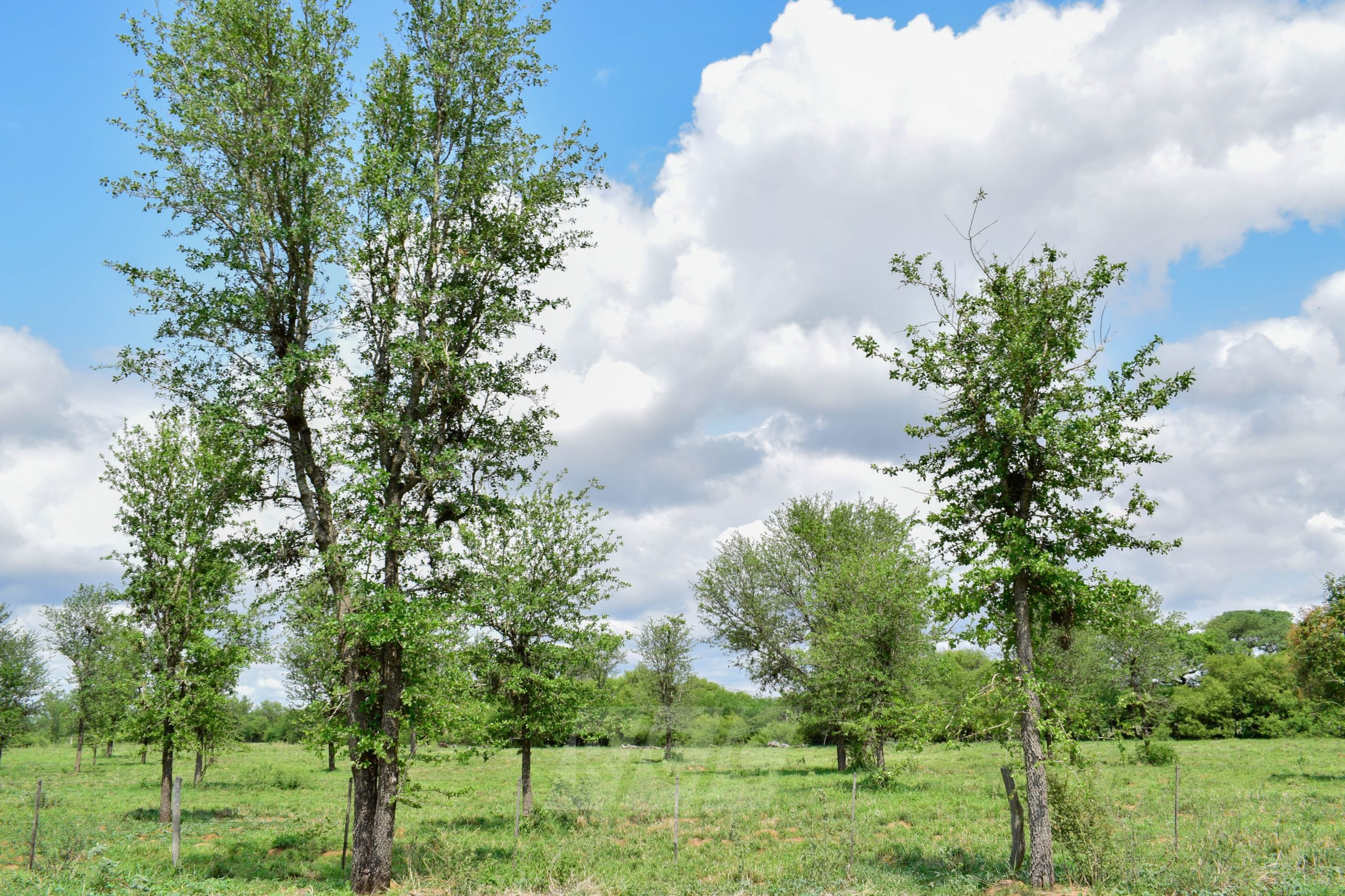 Pronostican un martes caluroso, húmedo e inestable
