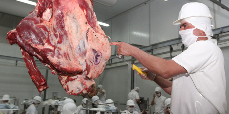 Senacsa apunta a alcanzar récord en exportación de carne bovina