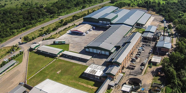 Neuland: Cierre de año con repunte en sector cárnico y proyectos en marcha