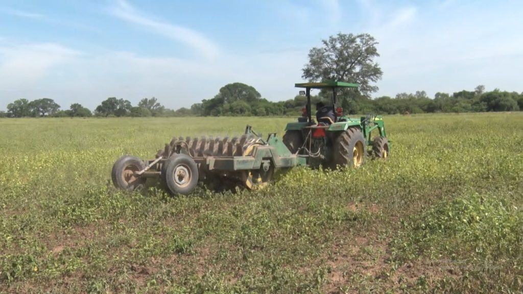 Chaco: Sector agropecuario busca recuperación tras lluvias