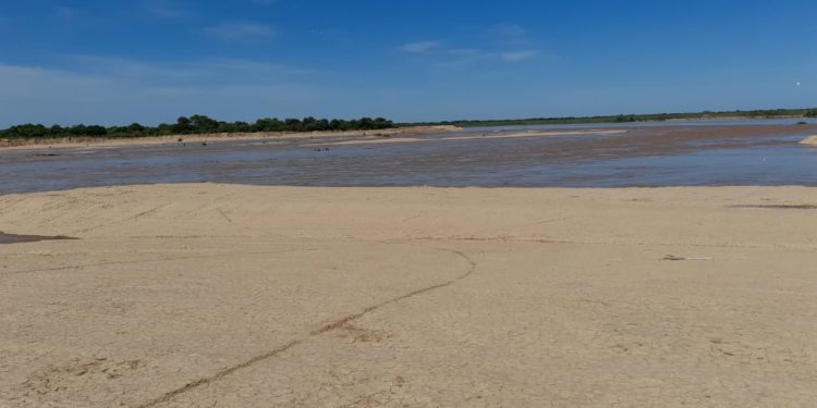 Primeras riadas del Pilcomayo llegaron a la zona de Pozo Hondo