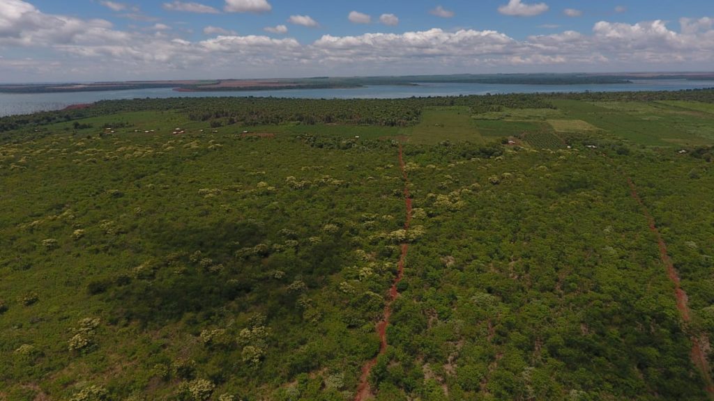 Promulgarán extensión de Ley de Deforestación Cero en la Región Oriental