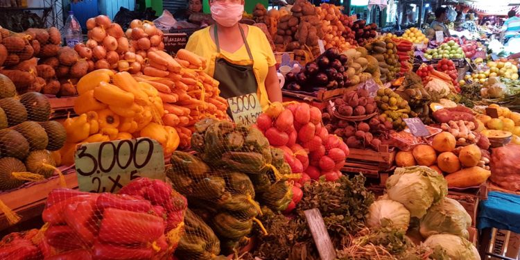 Hacienda y Comisión del Senado analizaron programas de asistencia social