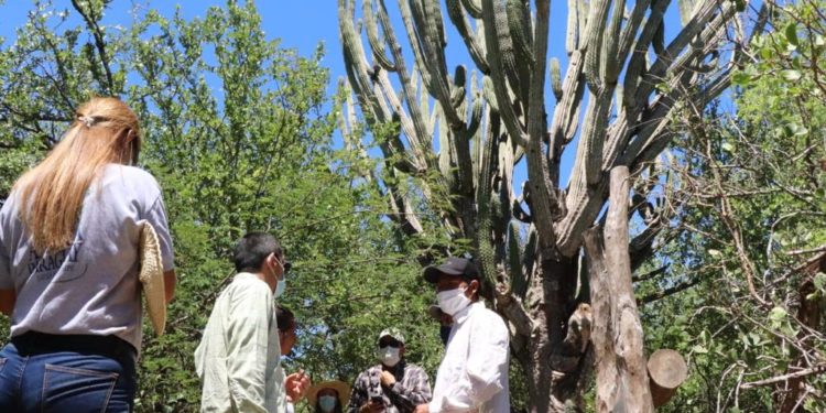 Senatur propone integrar circuitos turísticos para potenciar los atractivos del Chaco Senatur propone integrar circuitos turísticos para potenciar los atractivos del Chaco