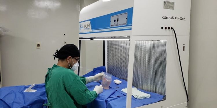 Reportan el primer procesamiento de tejido cardiaco en el Cenquer