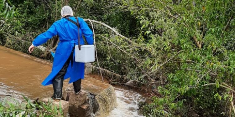 USF, en todas las etapas de vida y circunstancias USF, en todas las etapas de vida y circunstancias
