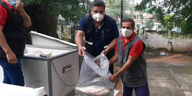 Villa Hayes: Vehículo que transportaba pescados de forma ilegal fue interceptado Villa Hayes: Vehículo que transportaba pescados de forma ilegal fue interceptado