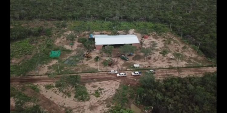 Senad interviene base logística para el tráfico aéreo de drogas en Bahía Negra Senad interviene base logística para el tráfico aéreo de drogas en Bahía Negra