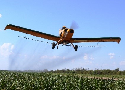 Exitoso desarrollo de la 3era Jornada sobre cultivos de verano en el Chaco Central Exitoso desarrollo de la 3era Jornada sobre cultivos de verano en el Chaco Central