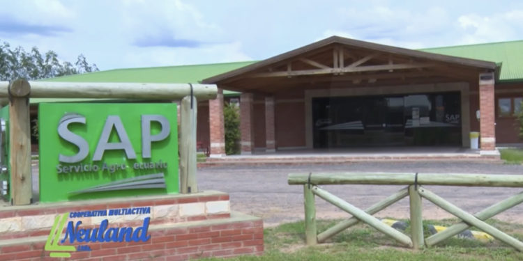 Servicio Agropecuario: profesionales que orientan a los productores a cumplir sus metas de la mejor manera