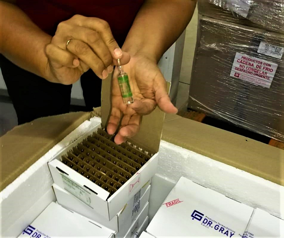 Ministerio de Salud recibe 45.000 dosis de atracurio adquiridas a través de la EBY