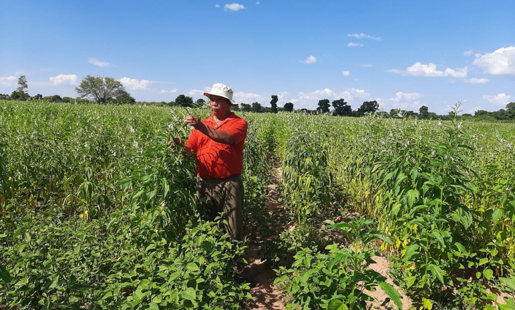 Técnicos del MAG asisten a productores del Chaco y Central Técnicos del MAG asisten a productores del Chaco y Central