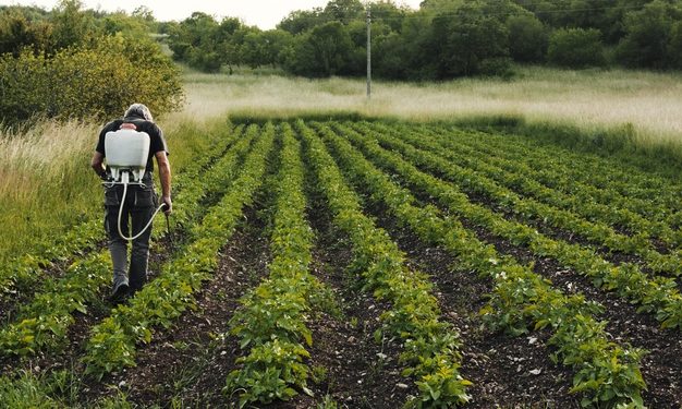 Preparan la tercera Jornada Técnica Producción Sostenible de Cultivos de Verano