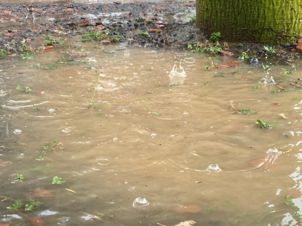 Siguen las lluvias de variada intensidad para hoy y los próximos días Siguen las lluvias de variada intensidad para hoy y los próximos días
