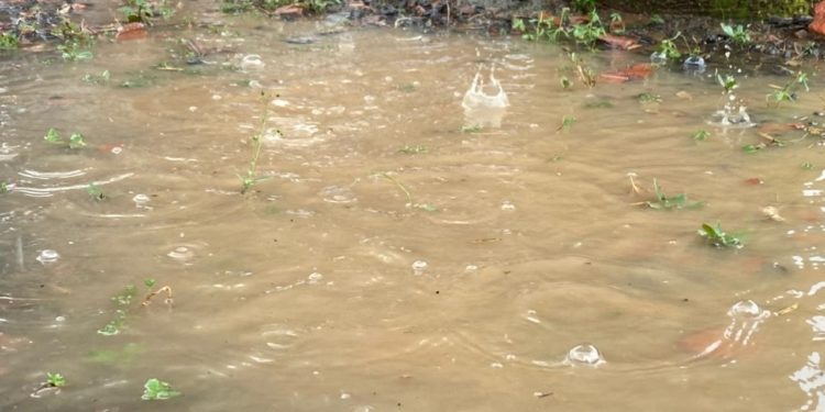 Siguen las lluvias de variada intensidad para hoy y los próximos días Siguen las lluvias de variada intensidad para hoy y los próximos días