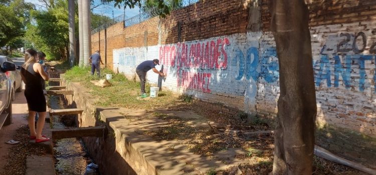 TSJE insta a respetar plazos referentes a la propaganda electoral TSJE insta a respetar plazos referentes a la propaganda electoral