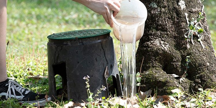 Dengue: mayor porcentaje de casos procede del norte del país Dengue: mayor porcentaje de casos procede del norte del país