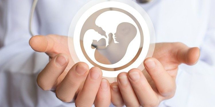 El Aborto ¿Una solución o un problema?