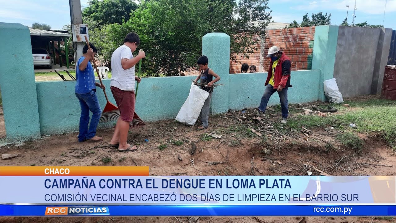 CAMPAÑA CONTRA EL DENGUE EN LOMA PLATA