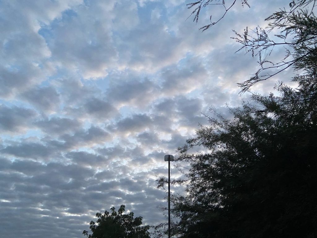 Pronostican ambiente cálido a caluroso para este jueves