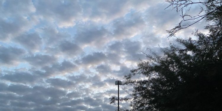 Pronostican ambiente cálido a caluroso para este jueves