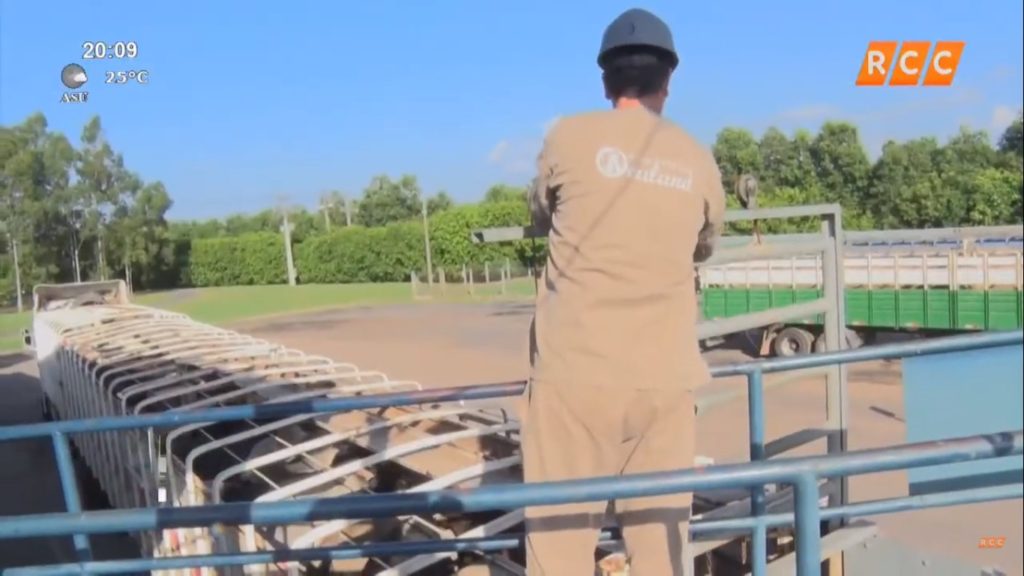 ¿Las cooperativas compran ganado solamente de sus asociados? ¿Las cooperativas compran ganado solamente de sus asociados?