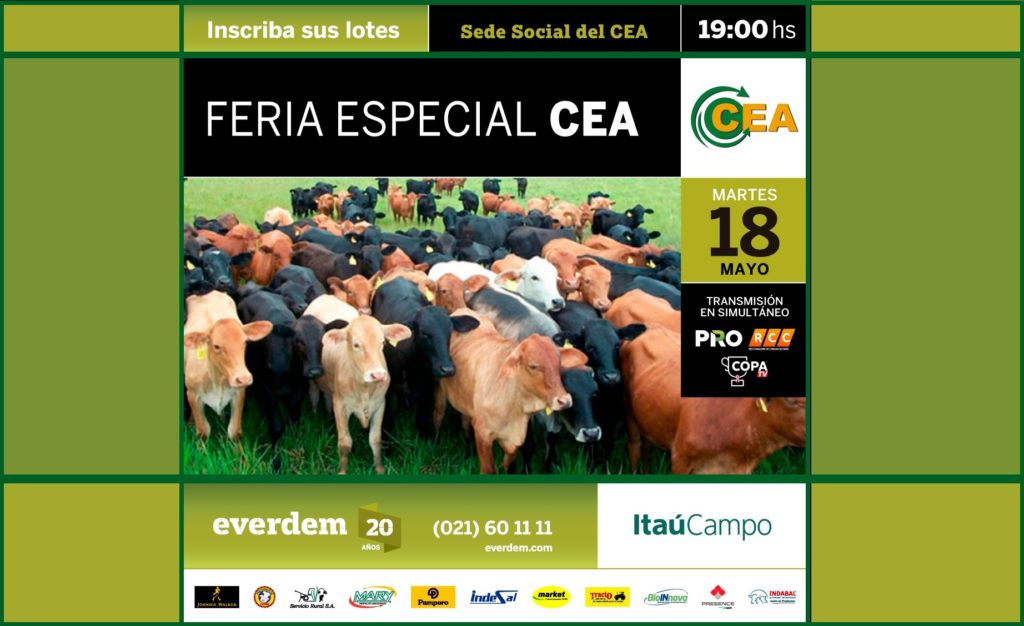 RCC transmitirá la feria especial de remate CEA de Everdem