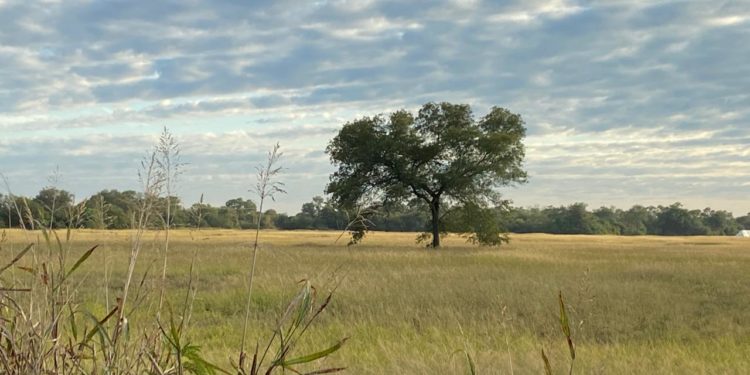 Mitad de semana con temperaturas en aumento y vientos variables