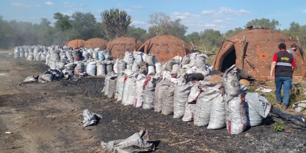 Pozo Hondo: Intervienen propiedad dedicada a la producción de carbón vegetal