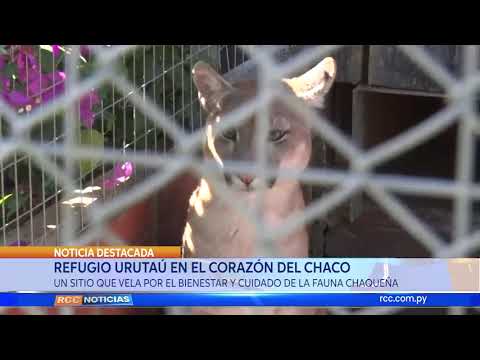 📌Refugio Urutau en el corazón del Chaco