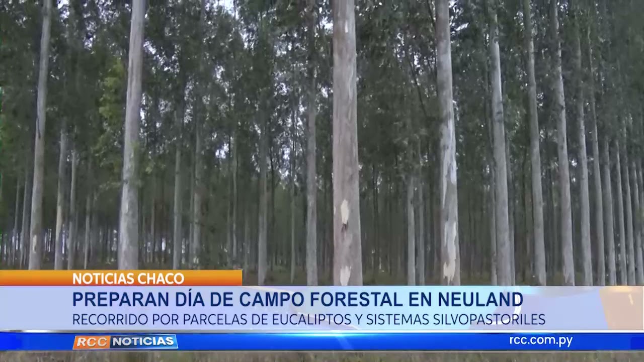 PREPARAN DÍA DE CAMPO FORESTAL EN NEULAND