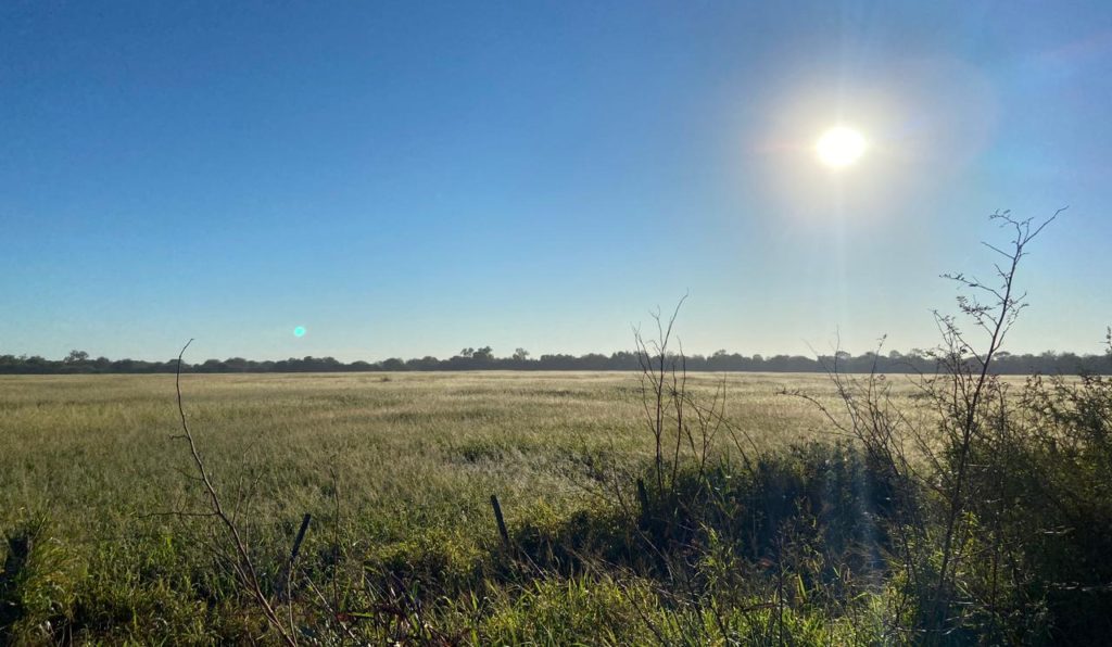 Meteorología anuncia una jornada bastante fría y con cielo despejado