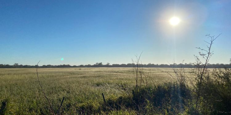 Meteorología anuncia una jornada bastante fría y con cielo despejado