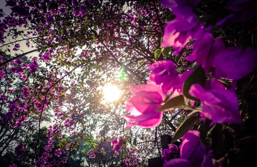 Anuncian día fresco a cálido y temperaturas muy frías desde mañana Anuncian día fresco a cálido y temperaturas muy frías desde mañana
