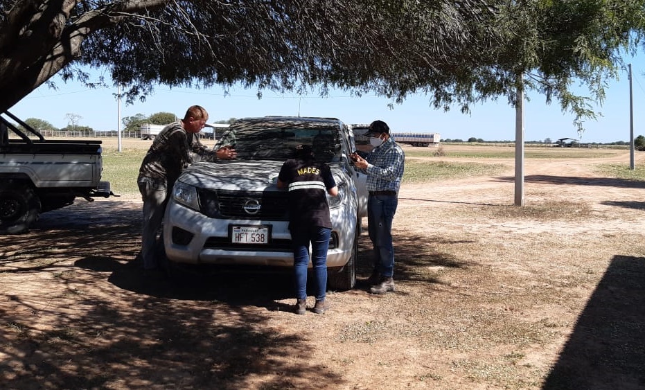 Mades intervino cuatro establecimientos ganaderos en Alto Paraguay