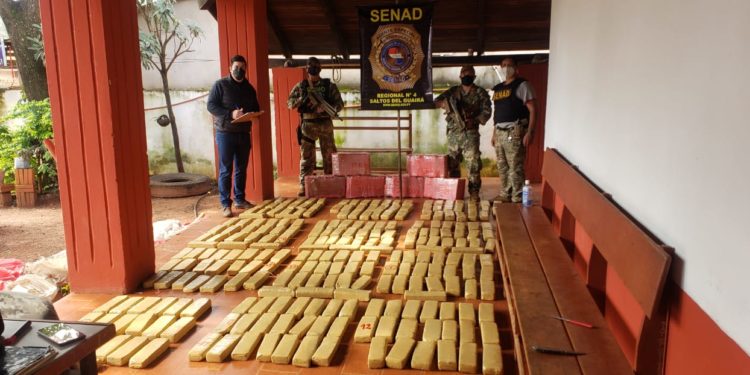Senad confisca 1.573 kilos de marihuana en procedimiento desplegado en Canindeyú Senad confisca 1.573 kilos de marihuana en procedimiento desplegado en Canindeyú