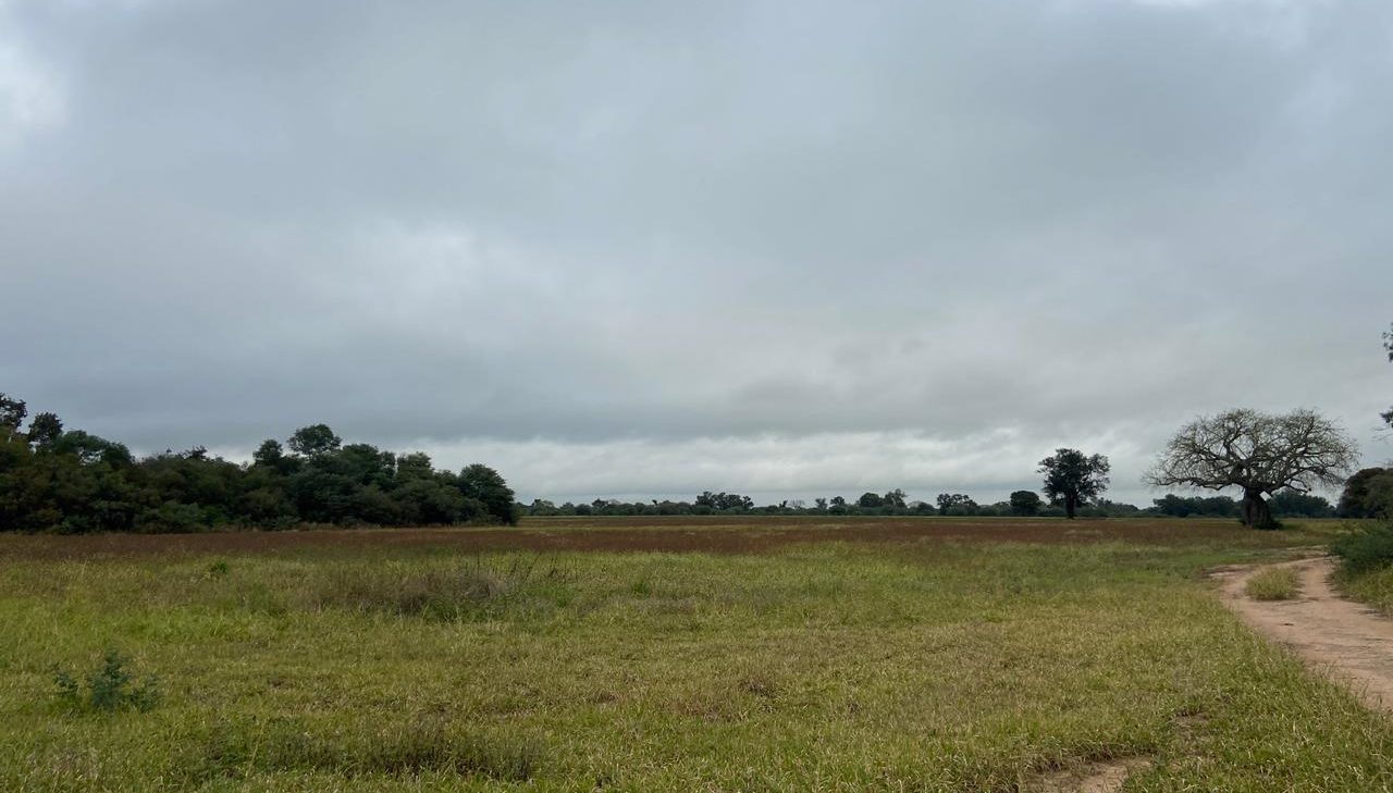 Mitad de semana con ambiente inestable y probabilidad de lluvias