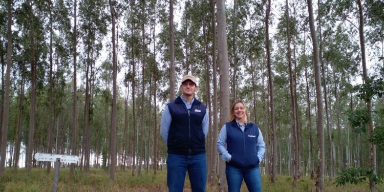 Invitan a día de campo forestal en Neuland Invitan a día de campo forestal en Neuland