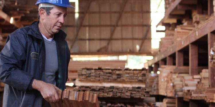 Se viene la “Semana de la madera” con diferentes actividades