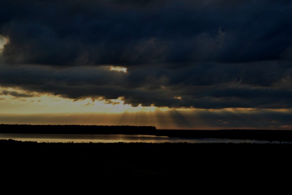 “Neocreacionismo”, experimentación en humanos y la Iglesia