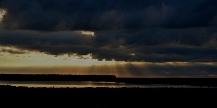 “Neocreacionismo”, experimentación en humanos y la Iglesia