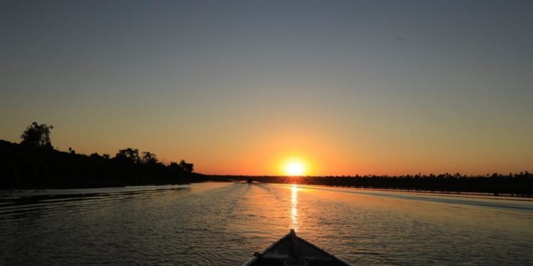 Bahía Negra: el esplendor del pantanal paraguayo Bahía Negra: el esplendor del pantanal paraguayo