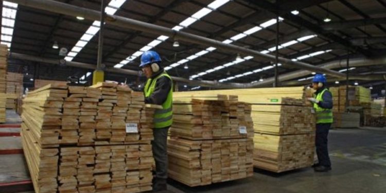 Exportación del sector maderero podría alcanzar cifra récord de US$ 170 millones este año
