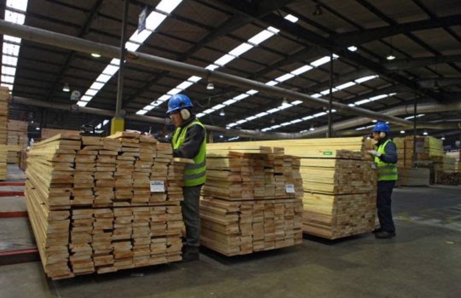 Exportación del sector maderero podría alcanzar cifra récord de US$ 170 millones este año