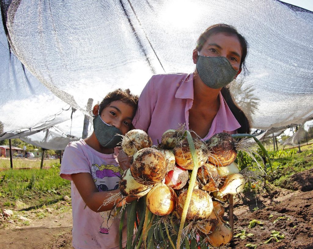 Oficina de la Primera Dama empodera a más de 48.000 mujeres y sus familias mediante Ñapu’ake