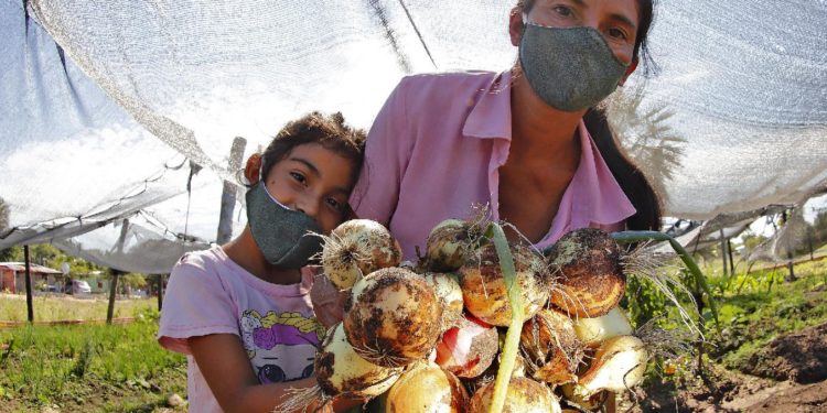 Oficina de la Primera Dama empodera a más de 48.000 mujeres y sus familias mediante Ñapu’ake