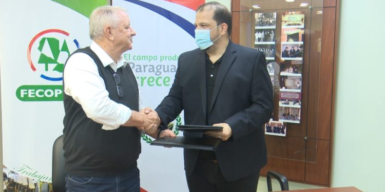 FECOPROD y FundaJoven firman convenio de cooperación en materia de prevención FECOPROD y FundaJoven firman convenio de cooperación en materia de prevención