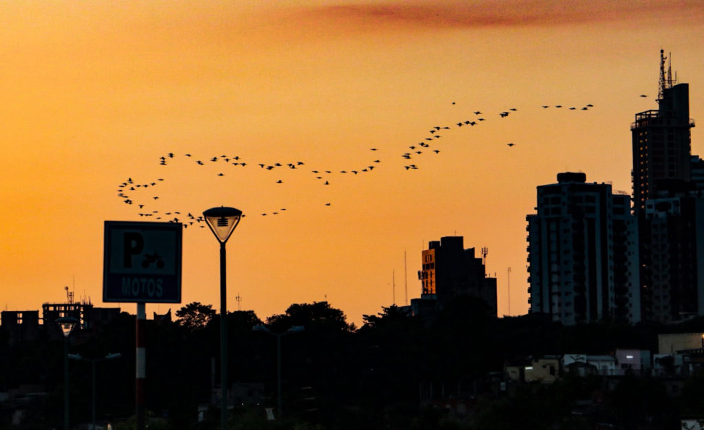 Mitad de semana con ambiente fresco a cálido y vientos del noreste
